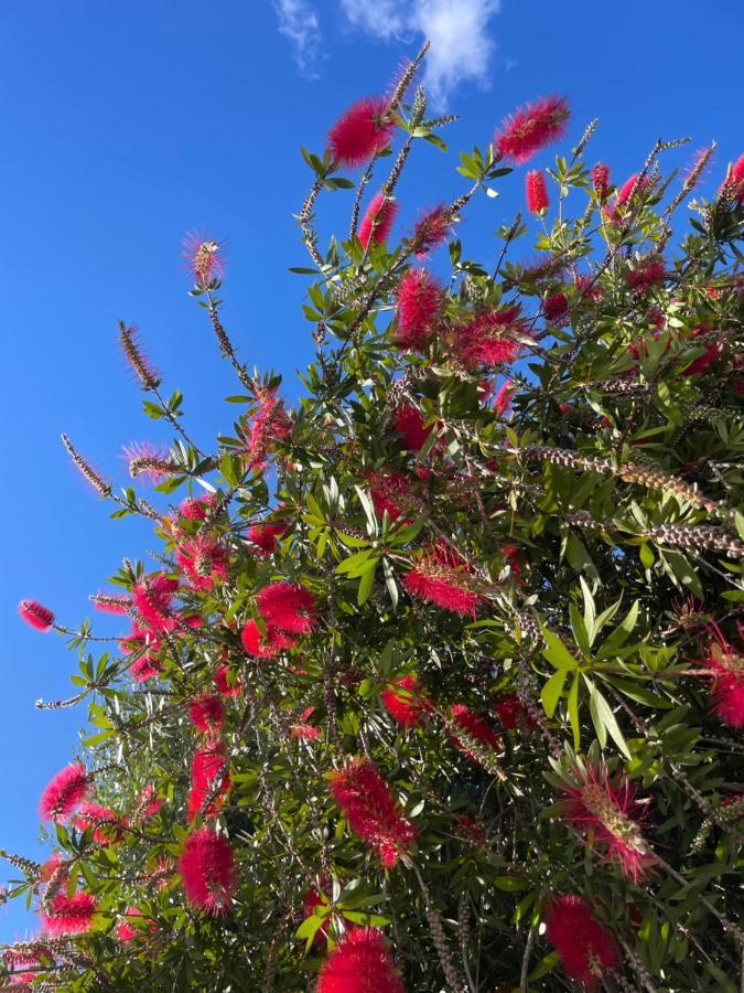Jardines Apartment Sitio de Calahonda ภายนอก รูปภาพ